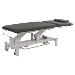 Weelko 2-Section Electric Physiotherapy Table with Headrest and Wheels - Electric Treatment Beds - Weelko