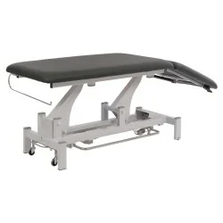 Weelko 2-Section Electric Physiotherapy Table with Headrest and Wheels - Electric Treatment Beds - Weelko