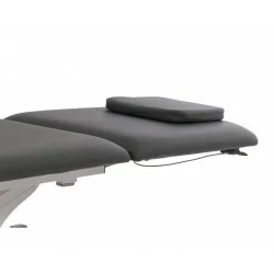 Weelko 2-Section Electric Physiotherapy Table with Headrest and Wheels - Electric Treatment Beds - Weelko