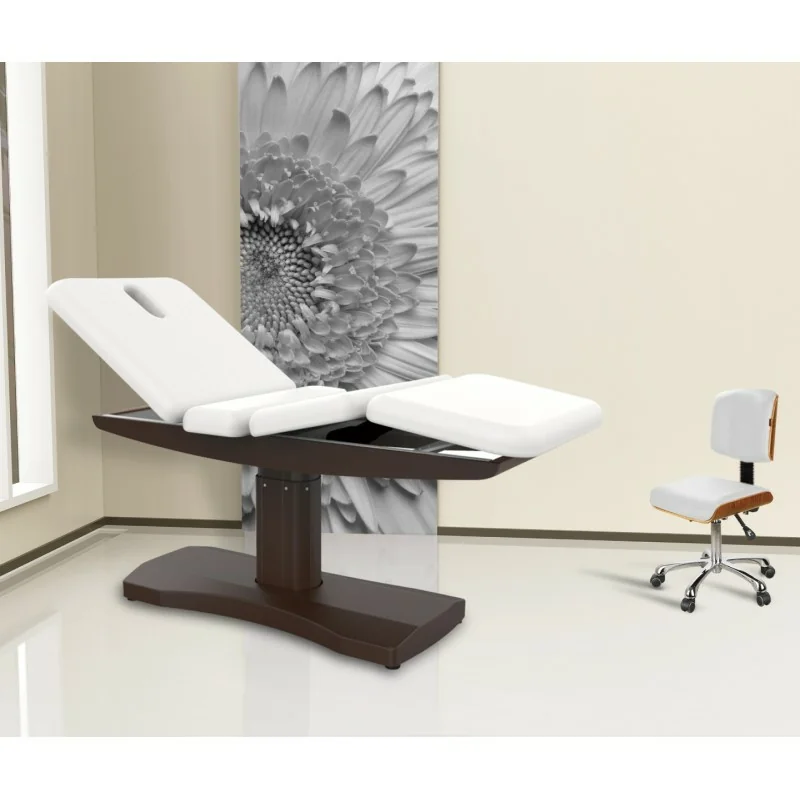 Weelko Ulna 3-Motor Electric Massage Table: Ultimate Spa Comfort - Electric Treatment Beds - Weelko