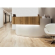 Réception ovale Design Solid Surface La conception de meubles